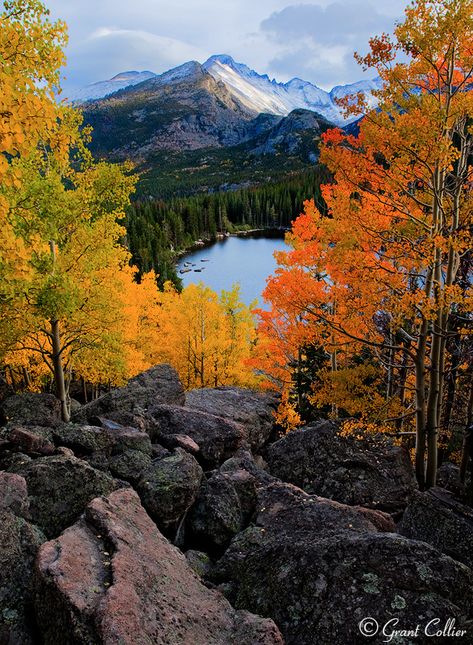 Rocky Mountain National Park, Bear Lake, Longs Peak Longs Peak, Mesa Verde National Park, Black Dagger Brotherhood, Visit Colorado, Mountain Lakes, Last Ride, Aspen Trees, Colorado Travel, Bear Lake