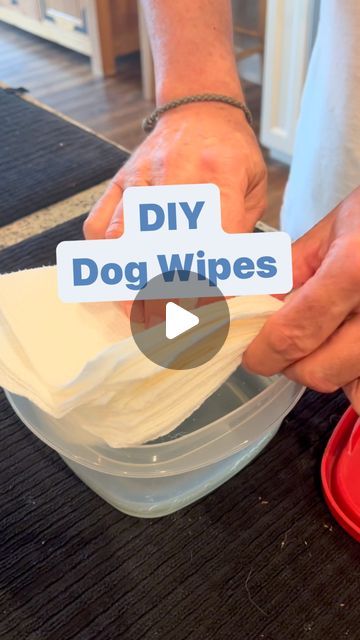 Becky's Pet Care Inc. on Instagram: "You don’t have to buy expensive dog wipes at the pet store anymore. Here’s a simple do it yourself recipe for all natural, homemade dog wipes.  1 cup of water 2 tbsp apple cider vinegar, 4 tablespoons of melted organic coconut oil  20 drops of lavender.  Mix well in a plastic Tupperware container with lid. Fold your paper towels and slowly press them in the liquid. Add as many paper towels as necessary. Because you don’t want them to be too watery. (15 to 25) depending on paper towel brand) You can use this in  your dog’s ears, on their paws, on their body, and are great for yeast infections. Save and share this and follow for more Wellness Wednesday tips. #DIYdogwipes #naturaldogwipes #homemadedogwipes #wellnesswednesday #beckyspetcare #northernvirgini Dog Cleaning Hacks, Dog Paw Cleaning Station, Yeast Paws Dogs, Paw Cleaner For Dogs, Apple Cider Vinegar For Dogs, Diy Dog Wipes Cleaning, Diy Dog Wipes, Dog Deterrent Spray, Dog Paw Care