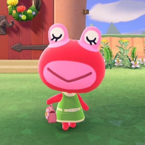 Puddles Animal Crossing, Puddles Acnh, Animal Crossing Characters, Animal Crossing Villagers, Character Collection, Animal Crossing, Cherry Blossom, Blossom, Anime