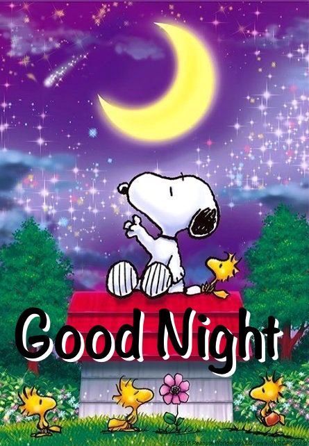 Snoopy Good Night snoopy good night pictures good night images snoopy good night quotes Good Night Snoopy, Funny Christmas Images, Goodnight Snoopy, Funny Christmas Cartoons, Good Night Funny, Snoopy Funny, Happy Sunday Quotes, Snoopy Images, Cute Good Night