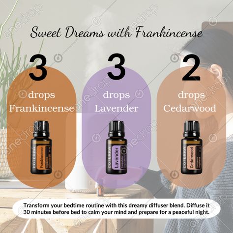 🌙 Sweet Dreams with Frankincense 🌙Transform your bedtime routine with this dreamy diffuser blend:🌿 Bedtime Blend Recipe:3 drops Frankincense3 drops Lavender2 drops CedarwoodDiffuse it 30 minutes before bed to calm your mind and prepare for a peaceful night. 😴How to Use the Graphic    Hos... #Sweet Dreams with Frankincense #frankincense #lavender #Cedarwood #diffuse #bedtime #sleep #wellnessadvocate #doterra #wellnessstockphotos #onedropdesigns #doterrawellnessadvocate #doterratips #doterragraphics #doterraphotos Bedtime Diffuser Blends, Diffuser Blends Doterra, Doterra Cedarwood, Frankincense Benefits, Sleeping Essential Oil Blends, Doterra Lavender, Doterra Diffuser Blends, Peaceful Night, Doterra Wellness Advocate