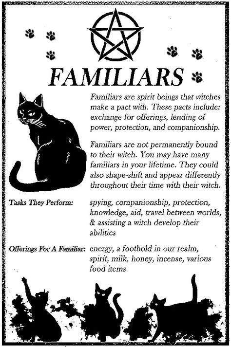 Black Cat Witchcraft, Black Cat Symbolism, Familiars Witchcraft, Cat Spiritual Meaning, Cottage Witchcraft, Witches Grimoire, Witchcraft Meaning, Cat Symbolism, Spirit Animal Meaning