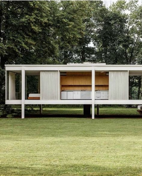 Mies Van Der Rohe Interior, Miss Van Der Rohe, Mies Van Der Rohe House, Mies Van Der Rohe Farnsworth House, Brno Chair, Ludwig Mies Van Der Rohe Architecture, Mies Van Der Rohe Architecture, Mid Century Modern Architecture, Farnsworth House