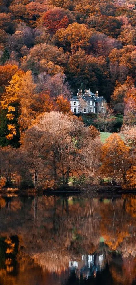 Close your eyes and dream of England - Autumn at Grasmere, The Lake District... Lake District Wedding, Lake District England, Tree Magic, Autumn Lake, The Lake District, Autumn Landscape, English Countryside, Autumn Photography, Lake District