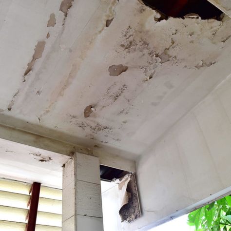 Water Damaged Ceiling, Repair Ceilings, Ceiling Leak, Southern Aesthetic, Roof Problems, Plaster Repair, Plumbing Companies, Water Damage Repair, Plaster Ceiling