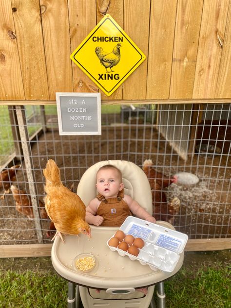 6 month photo shoot, half a dozen, chicken, eggs, baby Half Dozen Birthday, Half A Dozen Photoshoot, Half Dozen Baby Photoshoot, 6 Month Party Ideas, Farm 1 Year Photos, Baby Farm Photoshoot, Half Dozen Birthday Photo, Half Dozen Photo Shoot, Chicken Smash Cake