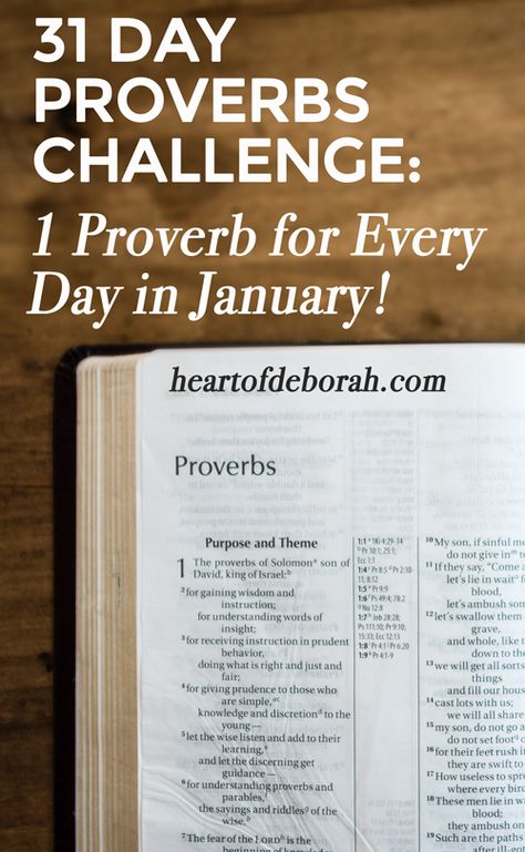 Not a fan of New Year's Resolutions? Start off the New Year by reading a proverb a day for the month of January. Join me in this proverbs challenge to gain wisdom and understanding from God's word. Proverbs Study Guide, Proverbs Challenge, Bible Phrases, Easy Bible Study, Contemplative Prayer, Winter Hygge, Bible Studies For Beginners, 1st January, Book Of Proverbs