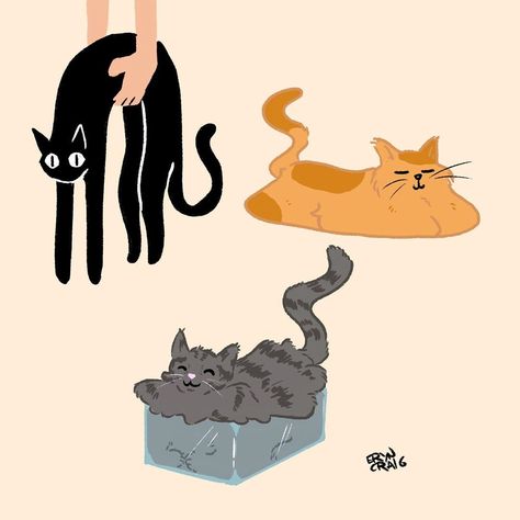 Cat Being Picked Up Drawing, Liquid Cat Drawing, Cat Liquid, Liquid Cat, Shrinky Dink Earrings, Gen Alpha, Cute Rooms, Silly Photos, Shrinky Dink