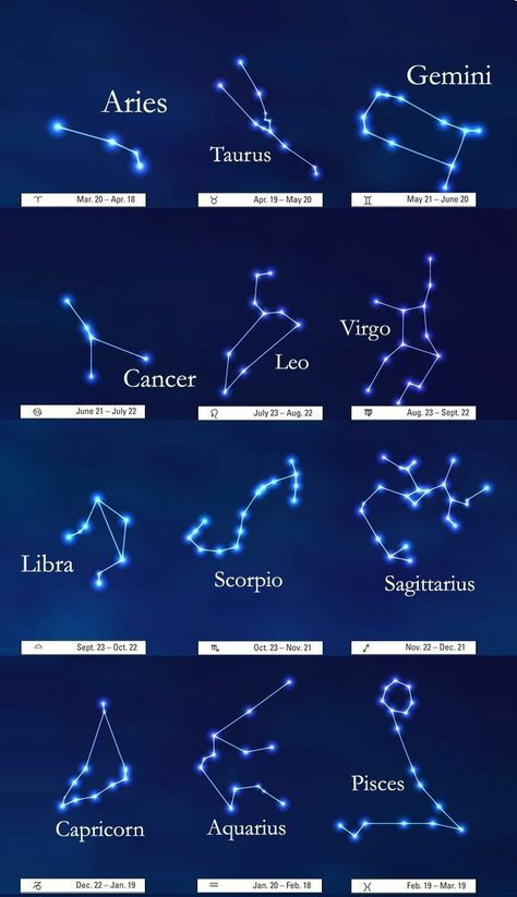 Constellation Wall Art, Astronomy Facts, Astronomy Constellations, The Zodiac Signs, Star Constellations, Astrology Chart, Astrological Sign, Zodiac Art, Space Science