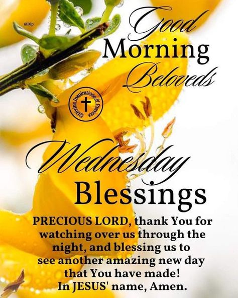 Bless Wednesday, Have A Blessed Wednesday, Good Morning Husband, Wednesday Morning Greetings, Christian Good Morning Quotes, Wednesday Morning Quotes, Blessed Images, Wednesday Greetings, Wednesday Blessings