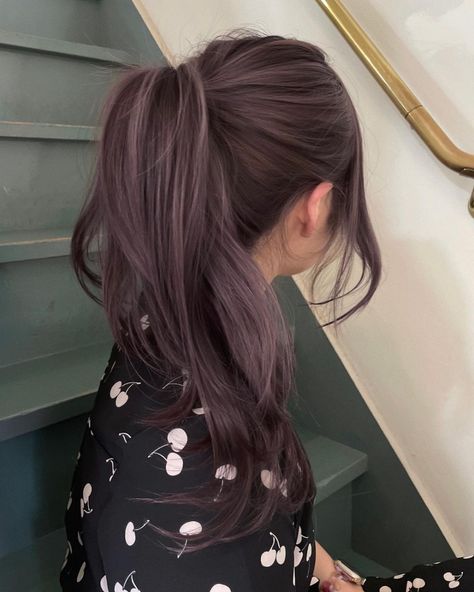 All Posts • Instagram Black To Lavender Hair, Coloured Straight Hair, Dark Coloured Hair, Brown Lavender Hair, Dusty Hair Color, Berry Brown Hair Color, Brownish Purple Hair, Cool Summer Hair Colors, Chocolate Lavender Hair