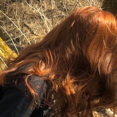 Orange Brown Hair, Light Red Hair, Rachel Elizabeth Dare, Girl With Brown Hair, Hair Aesthetic, Lily Evans, Auburn Hair, Redhead Girl, Hair Inspo Color