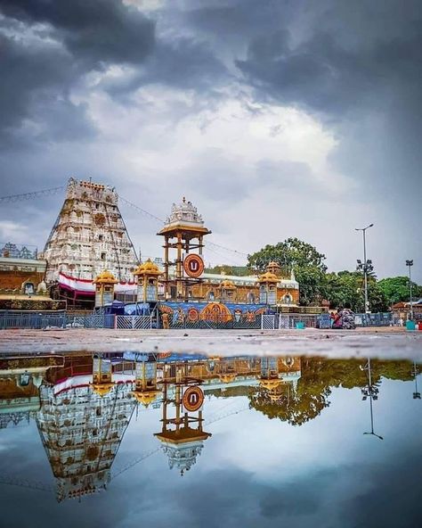 Tirumala Tirupati Photos, Tirumala Hills, Tirumala Venkateswara, Tirumala Venkateswara Temple, Walking Images, Venkateswara Temple, Temple Home, Historical Temples, Fall Wedding Arches