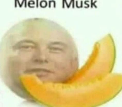 Melon Musk, 밈 유머, Funny Pix, Crazy Funny Pictures, 웃긴 사진, Extremely Funny Jokes, Very Funny Pictures, Disney Memes, Funny Profile Pictures