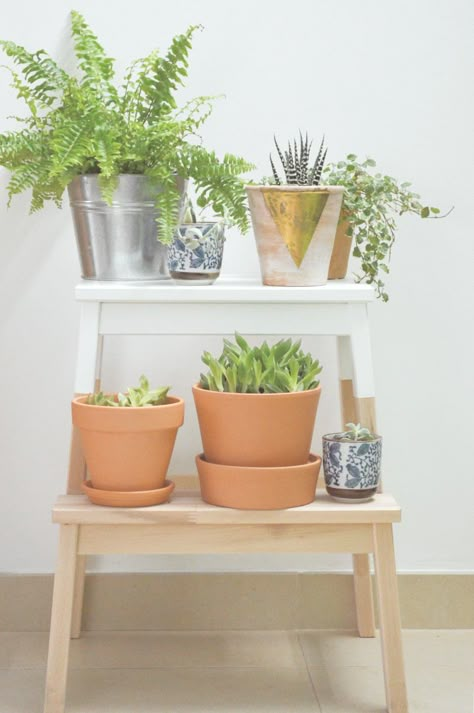 So many of you enjoyed our post on Keeping Your Houseplants Alive so we thought it would be fun to come up with a post for fabulous places you can make to display them… IKEA Hacks Your Plants Will Love! You are going to love them…all different style…from Farmhouse to Mid-Century Modern and everything in … Ikea Step Stool, Ikea Plants, Stool Makeover, Diy Home Decor For Apartments, Hacks Ikea, Painted Stools, Diy Hanging Shelves, Support Pour Plante, Ikea Hack Ideas