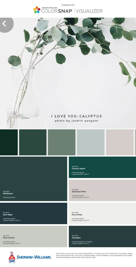 Jade Green Color Scheme, Emerald Green Colour Pallet, Forest Green Color Palette Home Decor, Dark Green And White Color Palette, Spruce Green Color Palette, Green Kitchen Colour Palettes, Green Gold White Color Palette, White Gold Green Color Palettes, Greens And Blues Palette