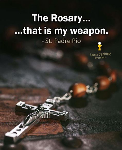 Faith Catholic Journaling, Rosary Quotes, Catholic Symbols, Inspirational Life Lessons, Saint Quotes Catholic, Happy Sunday Quotes, Rosary Prayer, Miracle Prayer, Holy Rosary