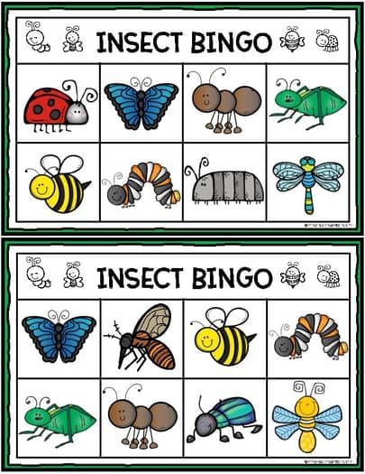 Insect BINGO Preschool Insects Activities, Bingo Hall, Book Woman, Bingo Casino, Bingo Online, Free Bingo Cards, Insects Preschool, Bugs Preschool, Insect Activities