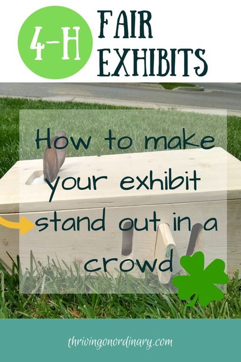 Looking for ways to take your 4-H fair exhibit to the next level? Going beyond a poster. Tips for making your exhibits great! #thrivingonordinary.com#4H#4Hfairexhibits 4h Educational Display Ideas, Pig Poster Ideas For Fair, 4h Decorations For Fair, 4h Horse Poster Ideas, National 4-h Week Ideas, Rabbit Posters For 4-h, 4h Rabbit Poster Ideas, Cloverbud 4h Projects, 4 H Poster Ideas