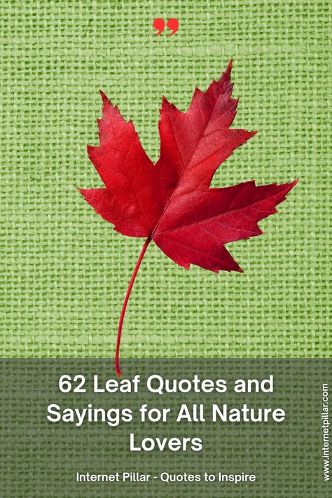 62 Leaf Quotes and Sayings for All Nature Lovers - quotes | inspirational quotes | motivational quotes | inspiring quotes | quotes of the day | quotes about life | life quotes | love quotes - #quotes #love #motivation #inspiration #life #quote #quoteoftheday #success #motivationalquotes #inspirationalquotes #quotestoliveby #photooftheday #happy #travel #lifestyle #positivevibes #lifequotes #instagram #poetry #follow #nature #inspiringquotes #selfimprovement Quotes About Leaves Nature, Leaves Quotes Nature, Leaf Quotes Nature, Quotes About Leaves, Exceptional Quotes, Nature Lover Quotes, Leaf Quotes, Tree Quotes, Dancing On The Edge