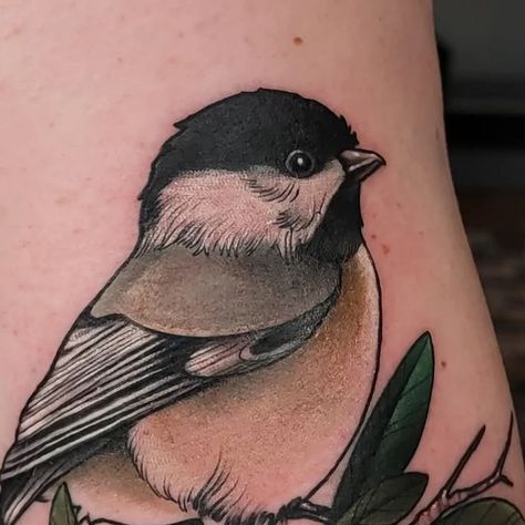 Dan Gietzel on Instagram: "#chonky little chickadee for @lateraluschica . . . . #chonkyboi #birdlife #cute #cuteanimals #birds #insta #instagood #rockstartattooco #milwaukee #mke #wisconsintattooartist #wildlife #boldwillhold #blackclawneedle #eternalink" Chickadee Tattoo, Black Claws, Future Ideas, Pretty Tattoos, I Tattoo, Milwaukee, Tattoo Artists, Flower Tattoo, My Pictures