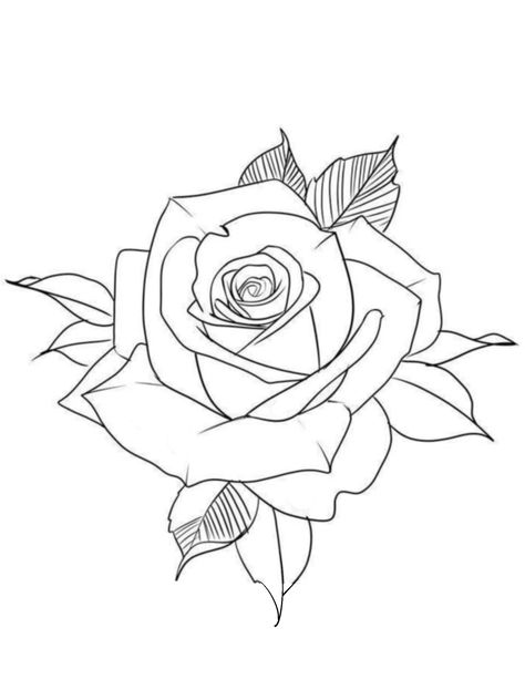 Realistic Rose Tattoo Stencil, Rose Sketch Realistic, Rose Tattoo Stencil Outline, Rose Tattoo Outline, Rose Line Drawing, Rose Outline Drawing, Rose Flower Drawing, Hand Tatts, Rose Tattoo Stencil