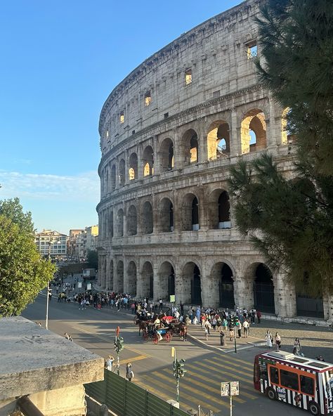 Italy Dump 🇮🇹 Napolean pizza + Rome’s pasta = Chef’s kiss 🥹🥰 Italy Dump, Pizza Rome, Rome, Pizza, Chef, Kiss, Pasta, Italy, Pizzas