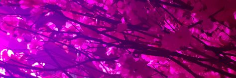 Pink Purple Banner Gif, Neon Pink Discord Banner Gif, Hot Pink Twt Header, Magenta Header Twitter, Hot Pink Banner Gif, Magenta Header, Neon Pink Banner, Dark Pink Banner Gif, Hot Pink Gif