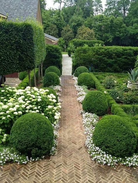 21 Boxwood Landscaping Ideas for Curb Appeal | Balcony Garden Web Boxwood Landscaping, Small Front Gardens, Boxwood Garden, Herb Garden Design, Garden Modern, Front Garden Design, English Gardens, Elegant Garden, Front Yard Design