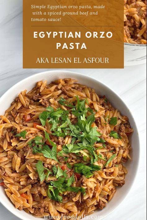 This recipe is a twist on a classic Egyptian orzo pasta recipe, called Lesan El Asfour. Slow Cooker Potato Soup, Slow Cooker Potatoes, Orzo Recipes, Pasta Ingredients, Egyptian Food, Orzo Pasta, Eastern Cuisine, Easy Pasta Recipes, Middle Eastern Recipes