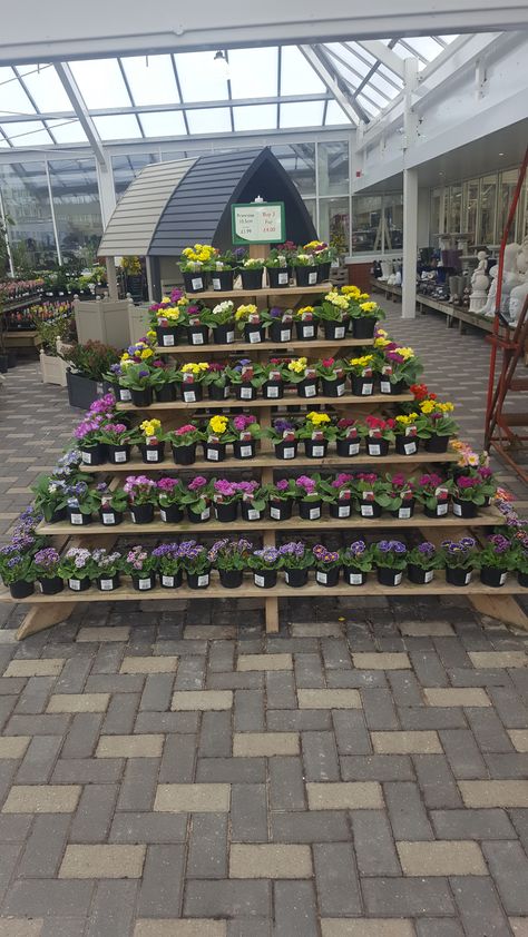 Pyramid of plants - could also be used for pots/sundries Garden Boutique, Museum Flooring, Garden Center Displays, Garden Wagon, Lawn Care Business, Farm Shed, Bamboo House, Flower Pot Garden, Garden Centre