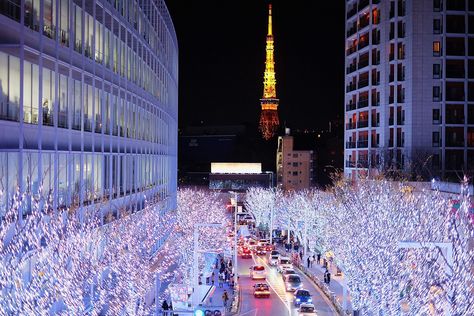 Roppongi Hills Winter Illumination 2018 – Japan Travel Guide -JW Web Magazine Fall Japan, Japan Vibes, Japanese Bar, Roppongi Hills, Yoyogi Park, Tokyo Tour, Roppongi, Japan Travel Guide, Mormon Temple