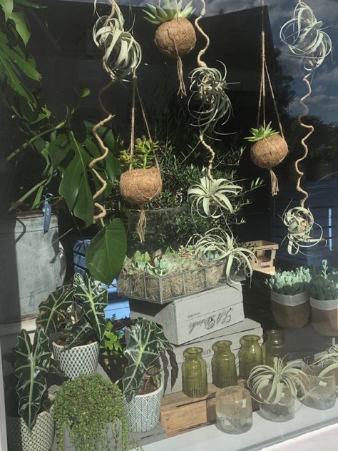 Plant Window Display, Florist Window Display, Shop Window Ideas, Florist Ideas, Plant Store, Plant Window, Henley On Thames, Spring Window, Florist Shop