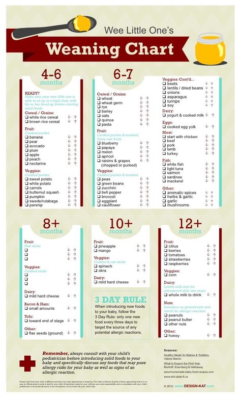 Age guide to introducing solids for baby Baby Nutrition, Baby Food Chart, Food Chart, Baby First Foods, Introducing Solids, Food Homemade, Baby Weaning, Homemade Baby Foods, Food Charts