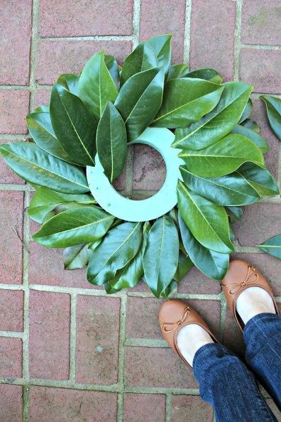 15 minute magnolia leaf tutorial, christmas decorations, flowers, gardening, how to Diy Magnolia Wreath, Magnolia Leaf Wreath, Magnolia Leaf, Magnolia Wreath, Magnolia Leaves, Christmas Garden, Wreath Tutorial, Leaf Wreath, Deco Floral