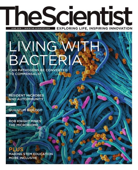 Scientific Magazine, Magazine Cover Layout, Magazine Cover Page, Magazine Cover Ideas, 잡지 레이아웃, Research Poster, Scientific Journal, Pub Design, Science Magazine