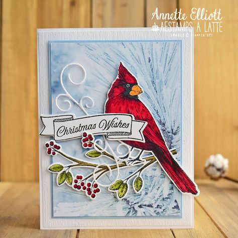 AEstamps a  Latte...: Toile Christmas Toile Christmas Stampin Up Cards, Cardinal Christmas Cards, Cardinal Cards, Themed Gift Boxes, Toile Christmas, Handcrafted Christmas Cards, Mini Toile, Cardinal Christmas, Chalk Marker