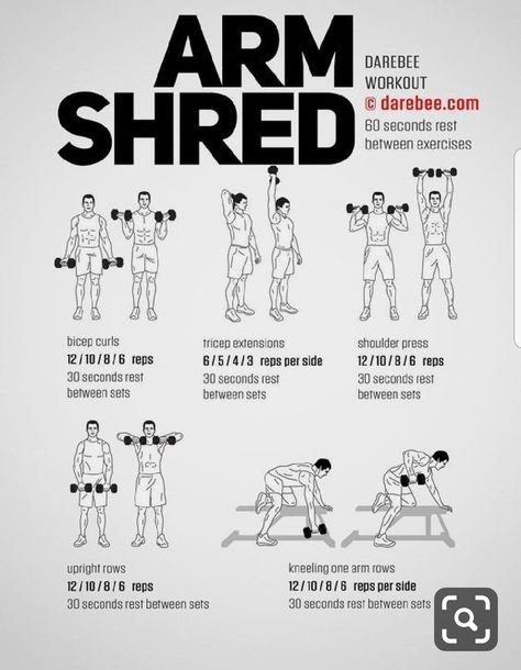 Arms Workout Dumbells Only, What To Use As Weights At Home, Arm Muscle Workout With Weights, Home Workouts For Men Dumbell, Workouts For Bulking Up, Dumbell Excersises, Bodybuilding Workout Plan Men, Chest Dumbell Workout Men, Men’s Workout