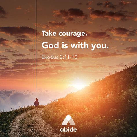 Exodus 3, Bible Verse Pictures, Hope In God, New Bible, Bible Passages, Scripture Pictures, Encouraging Bible Verses, Bible Verses Quotes Inspirational, Biblical Quotes