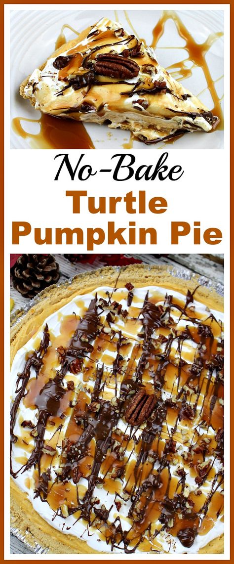 Turtle Pumpkin Pie, Reeses Desserts, Turtle Pumpkin, Turtle Pie, Pumpkin Cream Pie, No Bake Pumpkin Pie, Easy No Bake Desserts, Oreo Dessert, Pumpkin Pie Recipes