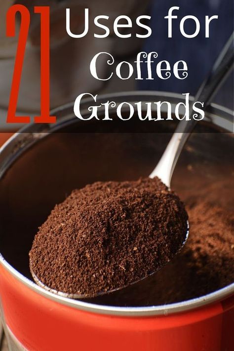 Coffee grounds are good for a lot more than just your morning cup of joe. Find out how coffee grounds can improve your home, your garden, even your skin! Bug Repellant, Ant Repellent, Uses For Coffee Grounds, Furniture Scratches, Deep Cleaning Tips, Glossy Hair, Coffee Uses, Beauty Regimen, Beaded Lanyards