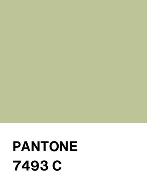 Pantone Green Colors, Sage Green Paint Color, Pantone Green, Sage Green Paint, Color Knowledge, Green Palette, Green Paint Colors, Green Colour Palette, Sage Color