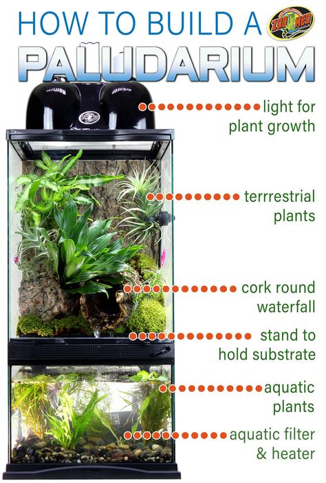 How to build a Paludarium. Paludariums build a home for reptiles, fish, and plants to live in harmony. Terrarium on top with air plants, mosses, and other plants of choice, with an aquarium on bottom. Two sizes: 12"x12"x24" that holds 4 gallons of water or 18"x18"x36" that holds 10 gallons of water. Terrariums Diy, Water Terrarium, Tanaman Air, Frog Terrarium, Fish Tank Terrarium, Aquascape Design, Reptile Room, Aquarium Terrarium, Build A Home