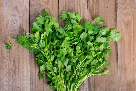 Cilantro Substitute, Freezing Cilantro, Cantaloupe Benefits, Detox Herbs, Cilantro Plant, Cilantro Seeds, Growing Cilantro, Chia Benefits, Chia Seeds Benefits