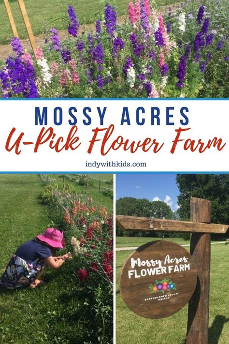 Mossy Acres Flower Farm | U-Pick Flower Farm Flower Farming Business, U Pick Farm Ideas, U Pick Farm, Pick Your Own Flowers, You Pick Flower Farm Layout, U Pick Flower Farm Ideas, Pick Your Own Flowers Farms, How To Start A Flower Farm, U Pick Flower Farm