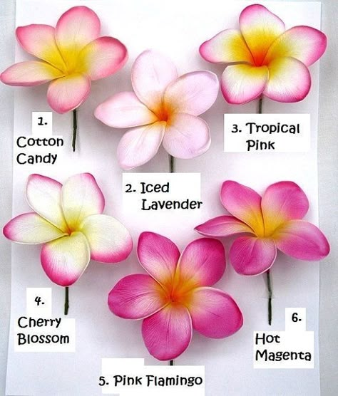 Flores Plumeria, Hawaiian Aesthetic, Frosting Piping, Plumeria Tattoo, Polynesian Dress, Săpunuri Handmade, Fleurs Diy, Plumeria Flowers, Flower Collage