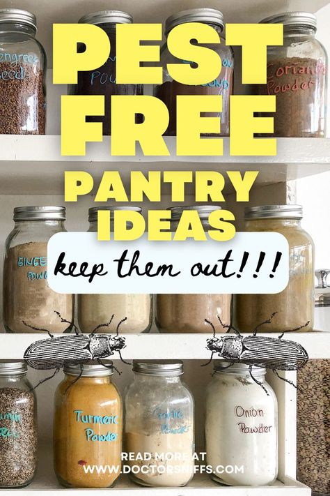 pest free pantry ideas Pantry Bugs, Pantry Hacks, Pantry Moths, Free Pantry, Pantry Ideas, Clever Ideas, Cleaning Organizing, Kitchen Hacks, Ants