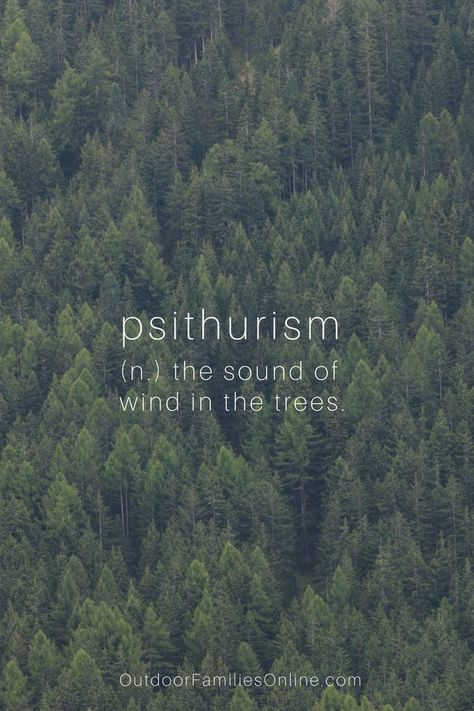 Citation Nature, Shinrin Yoku, Birds Singing, Unique Words Definitions, Uncommon Words, Forest Bathing, Weird Words, Unusual Words, Rare Words