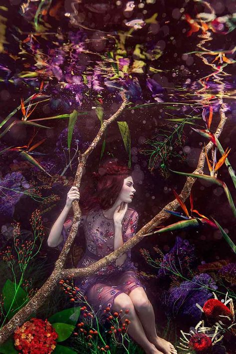 Beautiful Bizarre, Bizarre Art, Australian Photographers, Arts Award, Pop Surrealism, Female Photographers, Photography Awards, Underwater Photography, Professional Hairstyles