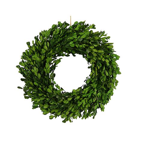 Primrue Faux Boxwood Twig 18'' Wreath & Reviews | Wayfair Cottage Design Plans, Faux Boxwood, Preserved Boxwood, Leaf Collection, Twig Wreath, Artificial Boxwood, Boxwood Wreath, Real Leaves, Artificial Wreath